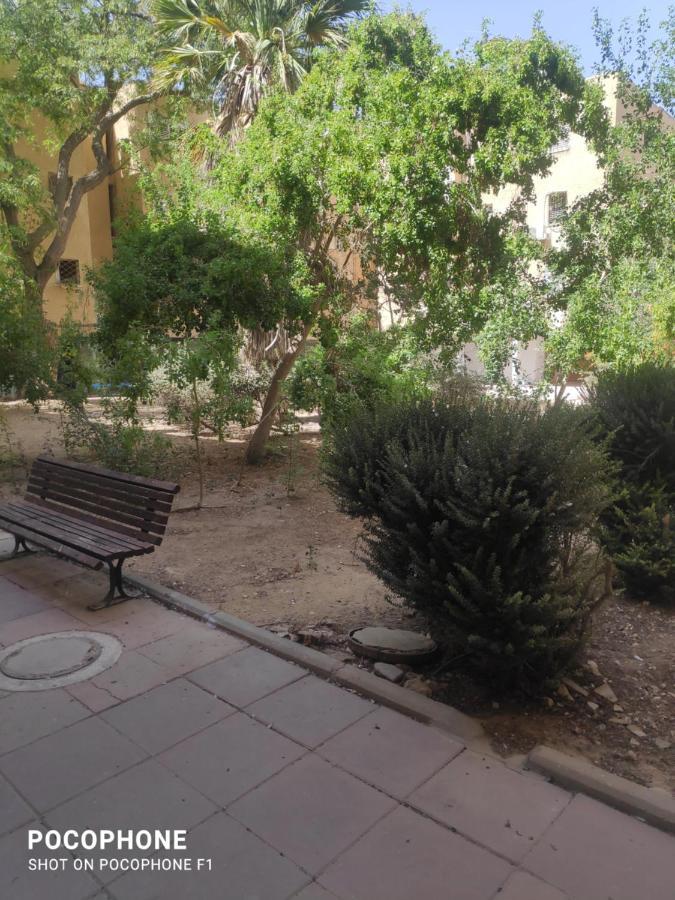 סוויטה של אלון Apartment Arad Exterior photo