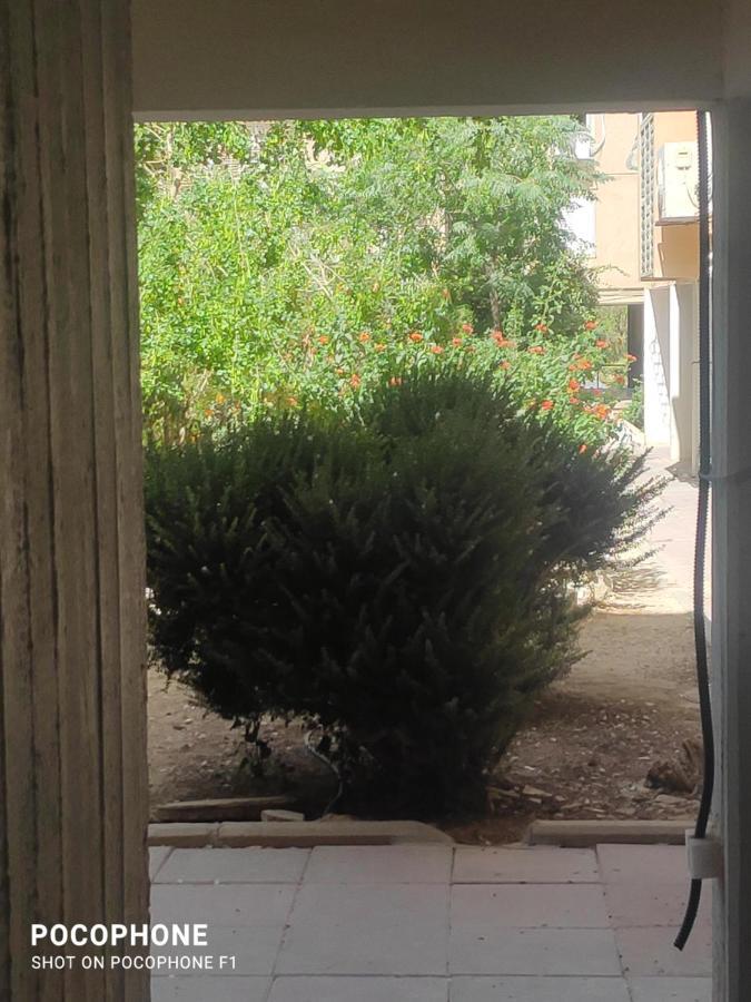 סוויטה של אלון Apartment Arad Exterior photo